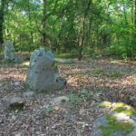 Deux menhirs à Tréfoux