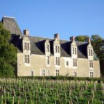 Château de la Cour-au-Berruyer