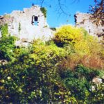 Ruines du château du Frankenbourg
