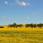 Pigeonnier du château