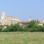 cave coopérative vinicole