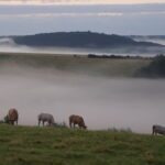 Villa gallo-romaine (vestiges)