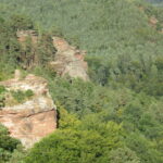 Ruines du château Petit-Arnsberg