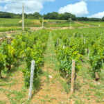 Maison dite Maison des Loups