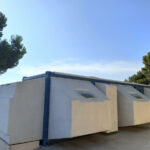 Tétrodon à Martigues