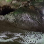 Grotte ornée
