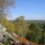 Abri sous roche orné de figures préhistoriques dans la forêt domaniale