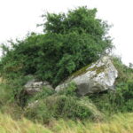 Dolmen