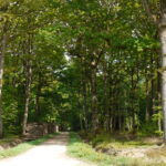 Bornes délimitant le domaine de chasse royal et la seigneurie de la Mormaire