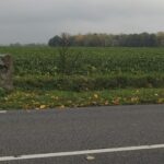 Borne fleurdelysée n° 27