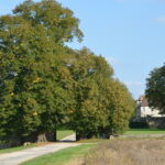 Château de Saint-Ange ou de Challeau