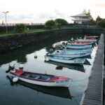 Bassin de radoub