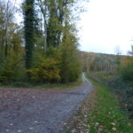 Villa du Grésil (ruines gallo-romaines dans la forêt de Rouvray)