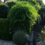 Villa « Les Bosquets »