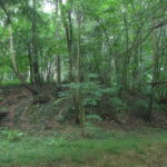 Motte féodale dite Garenne-de-la-Motte