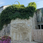 Rempart de ville