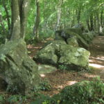 Allée couverte de la petite Roche