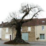 Château de Rouffiac