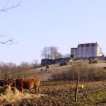 Château de Montréal