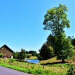 Eglise Saint-Pardoux