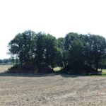 Mottes de la Tour-Saint-Austrille