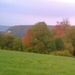 Ancienne abbaye de Grestain