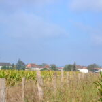 Château de Mongaston