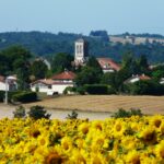 Château de la Vassaldie