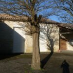 Eglise Saint-Etienne de Moulons