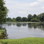 Château de la Messelière (les restes)