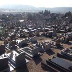 Eglise Saint-Martin et portail du cimetière