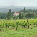 Château de Cabidos, dit de Trubessé