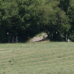 Dolmen dit de la Croisonnière