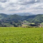 Eglise Saint-Martin de Succos, cimetière et ancienne benoiterie