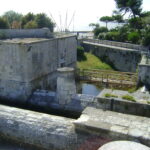 Fortin dit des deux moulins