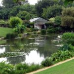 Pépinière Latour-Marliac