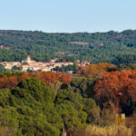 Eglise Saint-Geniès
