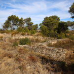 Villa gallo-romaine, dite Fount de Rome