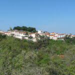 Eglise Saint-Saturnin