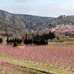 Eglise Notre-Dame de Domanova