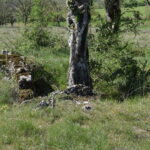 Site archéologique du dolmen 1 des Bourines