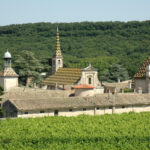 Ancienne chartreuse de Valbonne